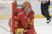 TIGERS - FRIBOURG