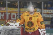 DAVOS - TIGERS