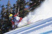 BEAVER CREEK 23