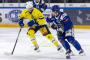 HCC - AROSA