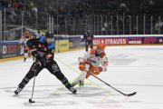 FRIBOURG - SHEFFIELD