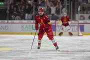 TIGERS - ZSC