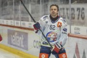 TIGERS - ZSC