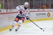 TIGERS - ZSC