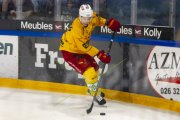 FRIBOURG - TIGERS