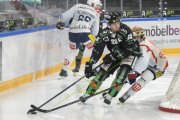 OLTEN - GCK LIONS