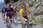 DAUPHINE 1987