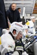 AMBRI - TIGERS