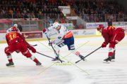 TIGERS - ZSC