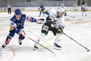GCK LIONS - OLTEN