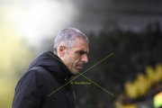 YB - BASEL