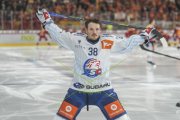 TIGERS - ZSC