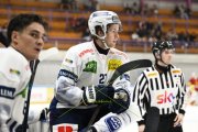 AMBRI - TIGERS