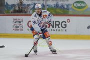 TIGERS - ZSC