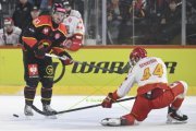 BERN - MOUNTFIELD
