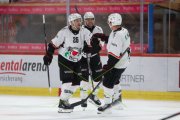 TIGERS - LAUSANNE