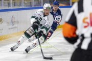 GCK LIONS - OLTEN