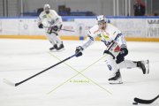 AMBRI - TIGERS