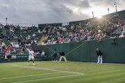 WIMBLEDON 2024