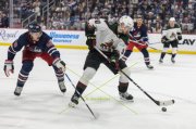 WINNIPEG - ARIZONA