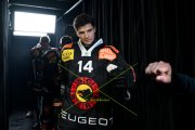 BERN - TIGERS
