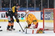 BERN - TIGERS
