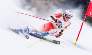 EUROPA CUP SPEED FINAL SAALBACH 2026