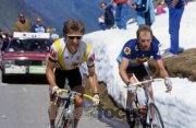 DAUPHINE 1987