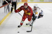TIGERS - FRIBOURG