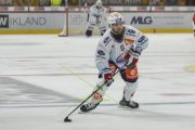 TIGERS - ZSC