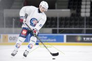 TRAINING ZSC