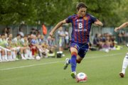 BASEL - WIL