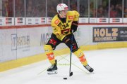 TIGERS - BERN