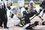LUGANO - FRIBOURG