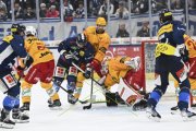 AMBRI - TIGERS