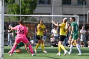 YB - ST.GALLEN