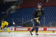 TRAINING SCHWEDEN