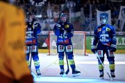 AMBRI - TIGERS