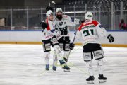 GCK LIONS - OLTEN