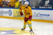 FRIBOURG - TIGERS