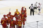 TIGERS - LAUSANNE