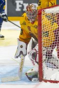 FRIBOURG - TIGERS