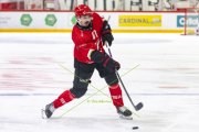 LAUSANNE - LUGANO