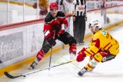 LAUSANNE - TIGERS
