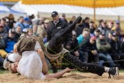 BASELSTAEDTISCHER SCHWINGERTAG