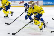 HCC - AROSA