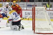 TIGERS - KLOTEN