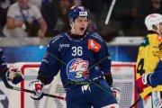 ZSC - BERN
