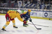 AMBRI - TIGERS