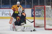 BERN - TIGERS